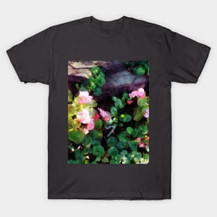 Begonias By Stone Wall T-Shirt